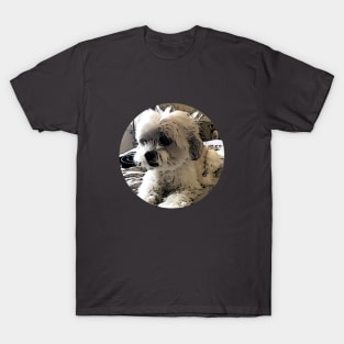 Cute Puppy T-Shirt